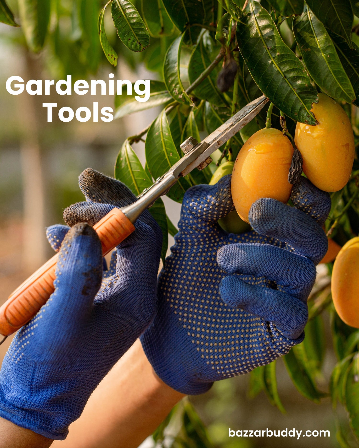 Gardening Tools